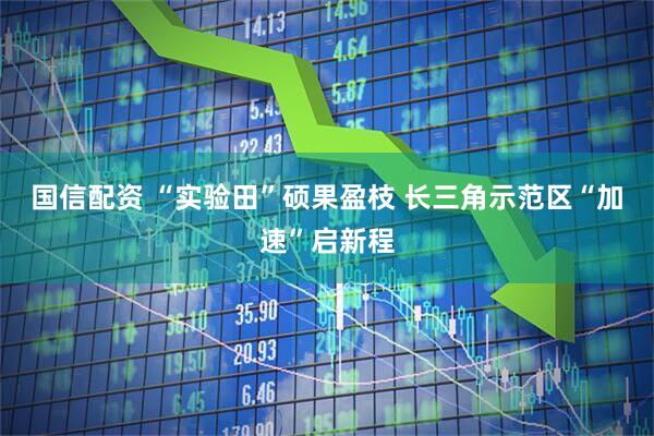 国信配资 “实验田”硕果盈枝 长三角示范区“加速”启新程
