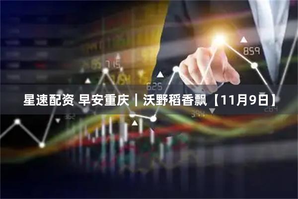 星速配资 早安重庆｜沃野稻香飘【11月9日】