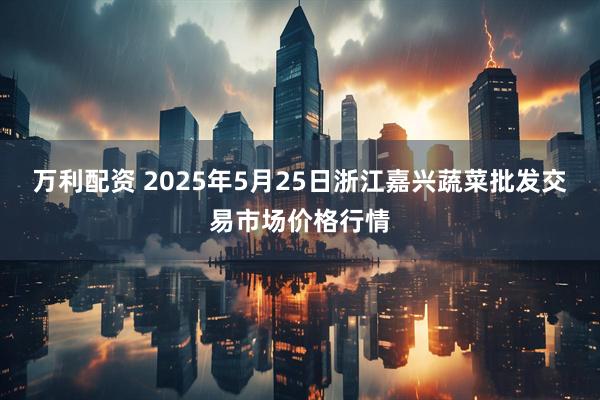 万利配资 2025年5月25日浙江嘉兴蔬菜批发交易市场价格行情