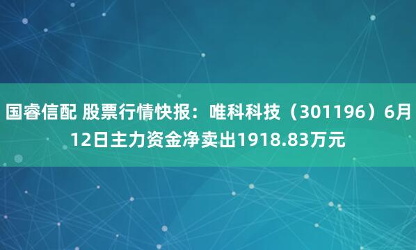 国睿信配 股票行情快报：唯科科技（301196）6月12日主力资金净卖出1918.83万元